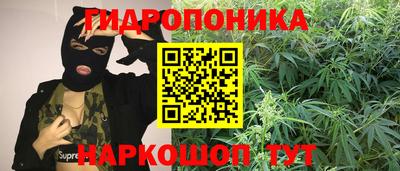 гашик Шахты