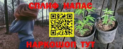 гашик Шахты