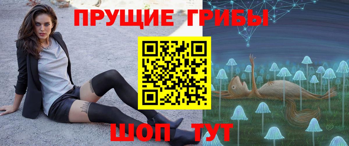 Нижнеудинск  Галлюциногенные грибы Psilocybe  Вход с VPN 